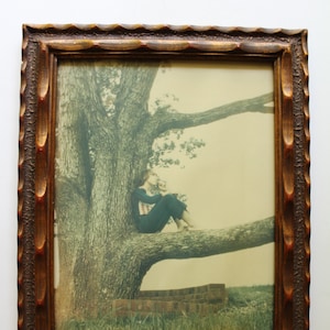 Vintage Young Gentleman Pondering In A Tree Framed Photography Art 1970s