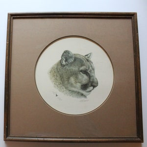 Vintage Wooden Framed Al Dornisch Puma Drawing Wall Art Print Signed 1976