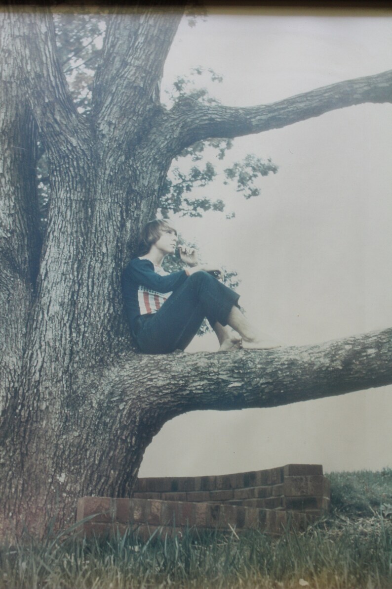 May include: A young person sits on a tree branch, wearing a blue and white striped shirt and blue jeans. The person is looking off to the side and appears to be thinking. The tree is large and has a thick trunk. There is a brick wall in the background.