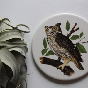 Vintage Hyalyn Round Ceramic Tile Owl Trivet 1970s