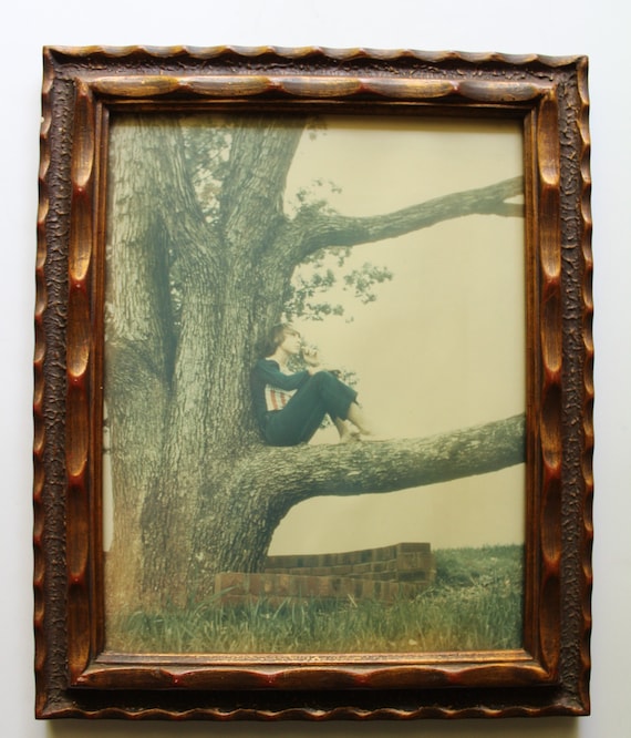 Vintage Young Gentleman Pondering In A Tree Framed Photography Art 1970s