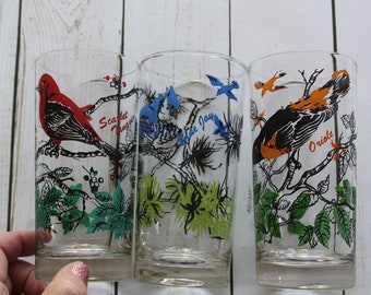 Vintage Set of Oriole - Scarlet Tanager - Blue Jay - Drinking Glasses 1970s