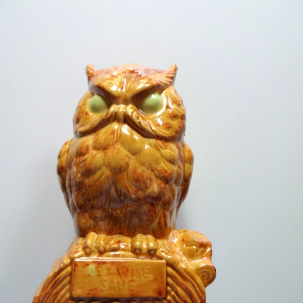 Vintage Be Wise Ceramic Owl Bank 1970s