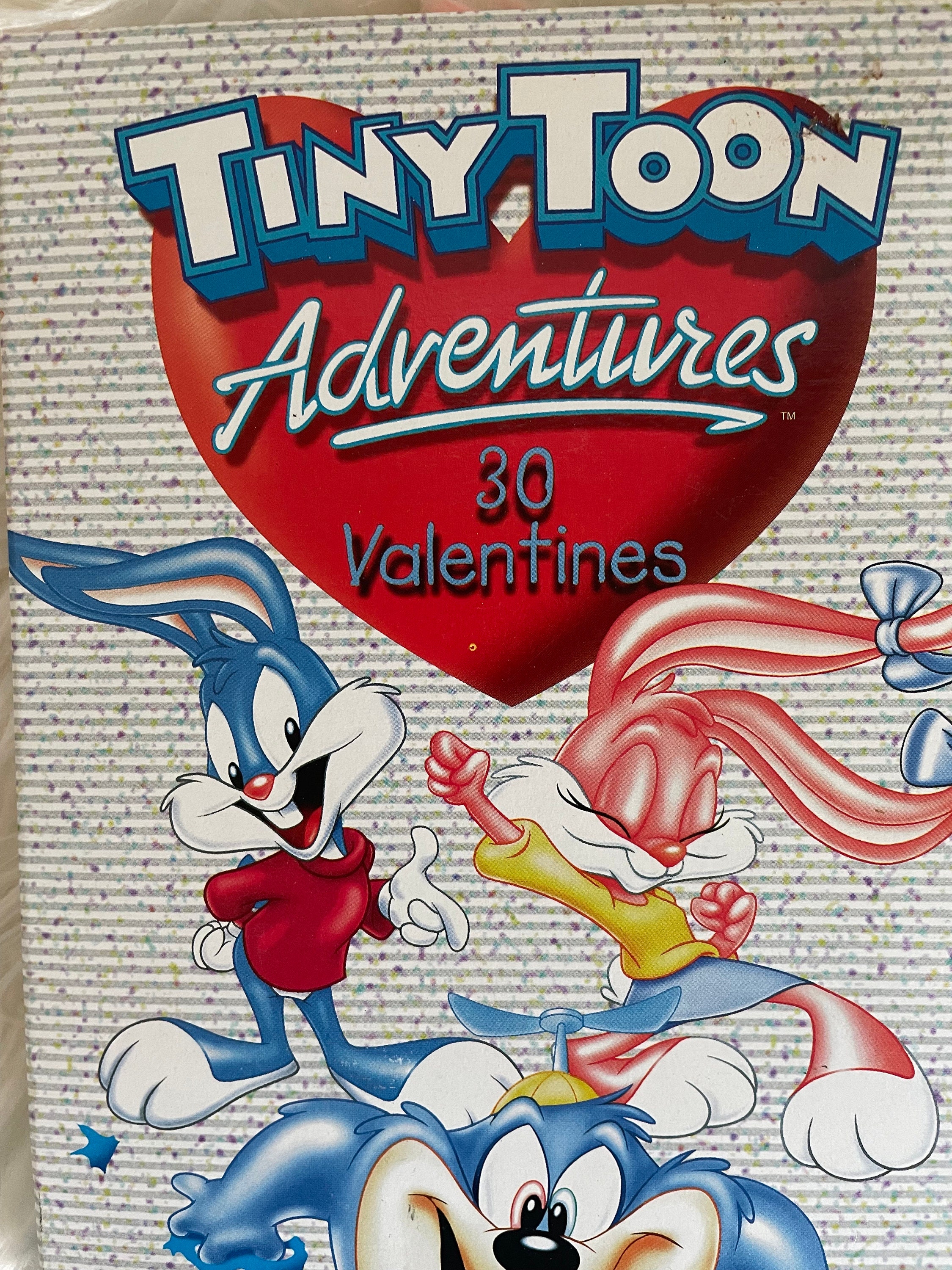 Vintage Tiny Toon Adventures Valentine's Cards 1999 - Etsy