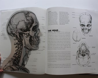 Vintage Anatomy For The Artist Hardback Coffee Table Book 2001