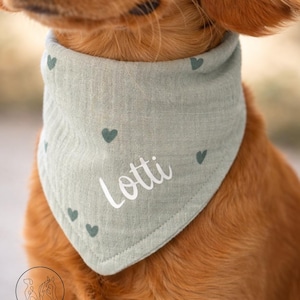 May include: A light green dog bandana with a heart pattern and the name "Lotti" in white script. The bandana is triangular and tied around the dog's neck. The dog has brown fur. The logo "my plotti" is in the bottom left corner.