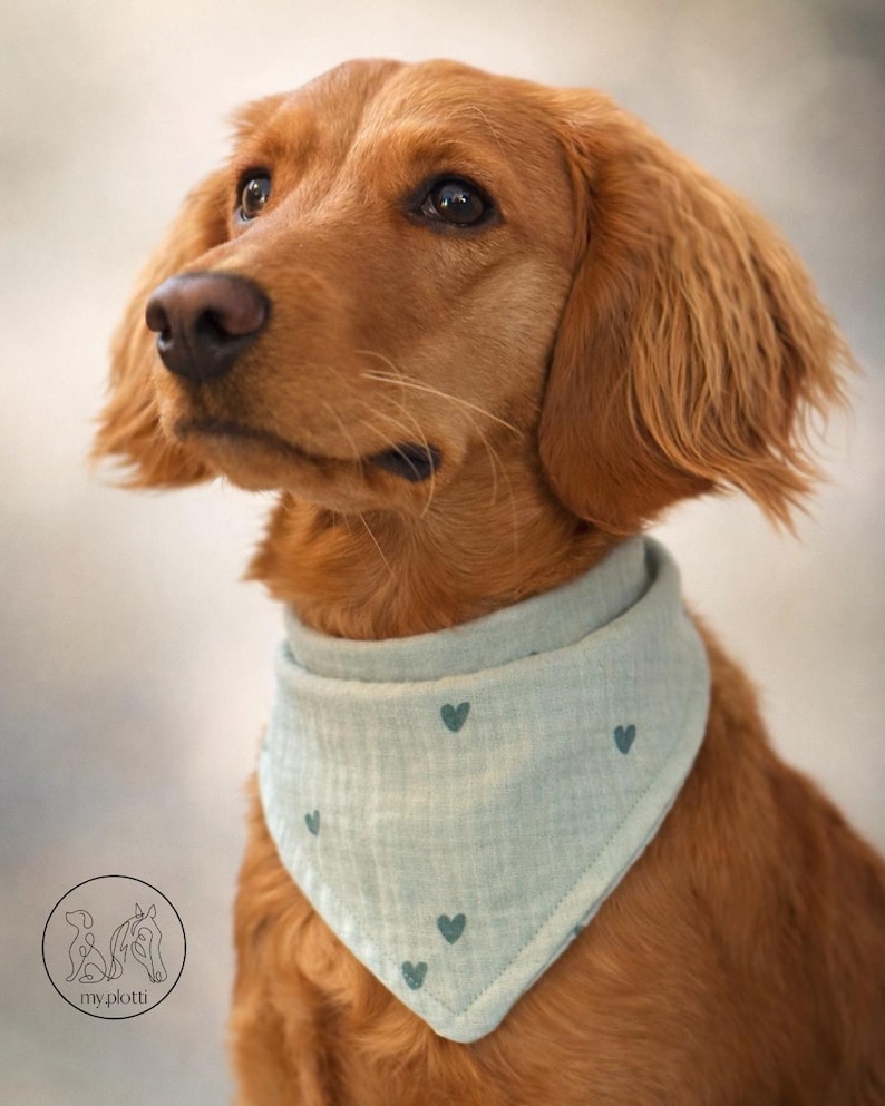 Personalized dog bandana with name | Muslin dog bandana with hearts | Bandana for dogs | Gift for dog lovers image 2