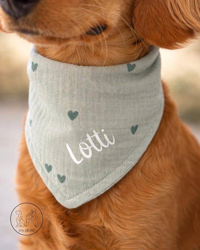 May include: A light green dog bandana with a heart pattern and the name "Lotti" in white script. The bandana is triangular and tied around the dog's neck. The dog has brown fur. The logo "my plotti" is in the bottom left corner.