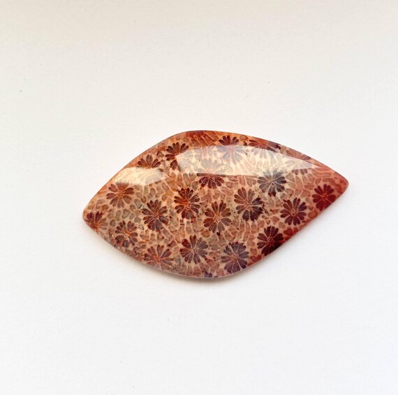 Fossil Coral Cabochon Dark Red 5.5g 40mm x 22mm Loose Gemstone