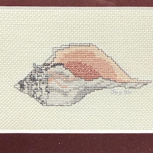 May include: Cross-stitch artwork of a seashell in shades of peach, gray, and white, framed in a silver-toned frame with a burgundy mat. The seashell design is detailed and textured, showcasing the craft of cross-stitch.