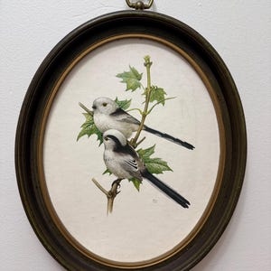 Syroco Wall Birds - Etsy