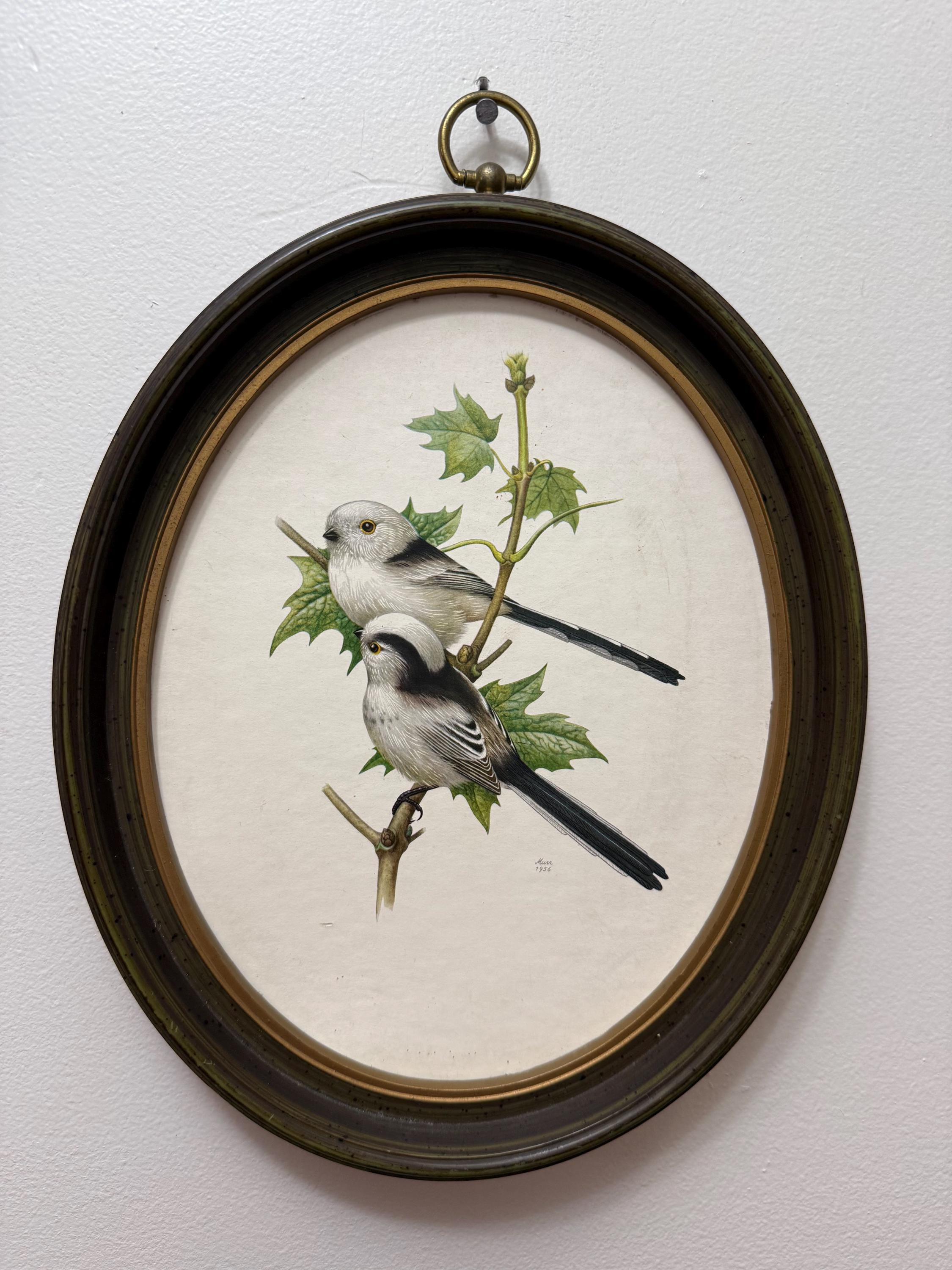 Syroco Wall Birds - Etsy