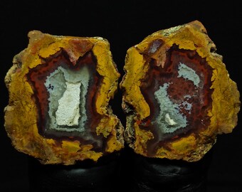 May include: Two polished agate stone slices. The outer edges are a vibrant yellow, transitioning to bands of red, white, and gray towards the center. The stones are displayed on black stands against a dark background, showcasing their natural patterns.