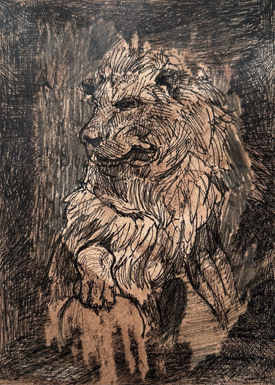 Original Lion Ink Drawing 5x7 – Coffee Stained Wildlife Art on Cotton ...