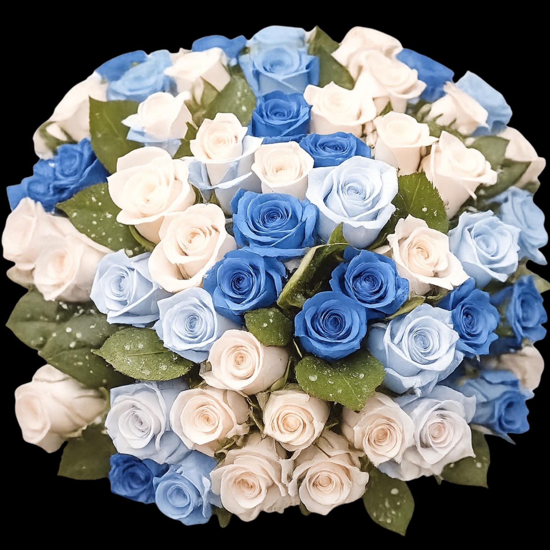 Icy Roses Background Icy Blue Roses Clipart Set – Winter Romantic Floral (8 PNG) – Fantasy ...
