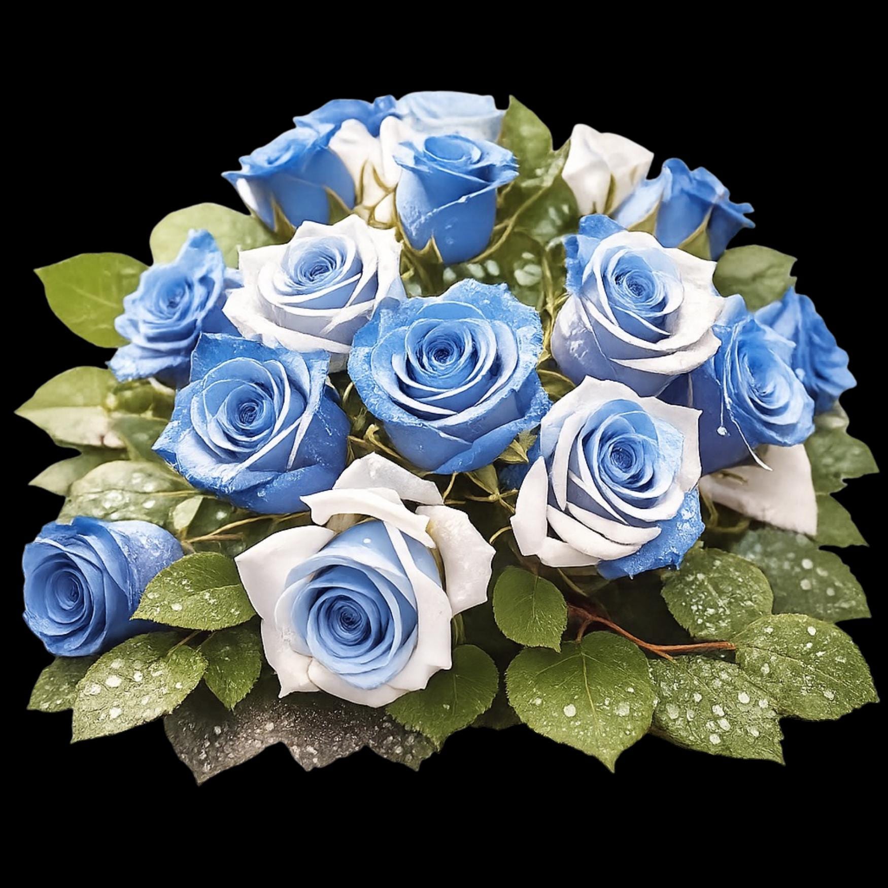 Icy Roses Background Icy Blue Roses Clipart Set – Winter Romantic Floral (8 PNG) – Fantasy ...