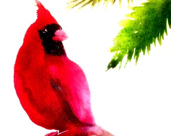 Print or greeting cards of watercolor painting by Laura Rispoli Winter Cardinal on a Branch Snowy red bird prints postcards or cards