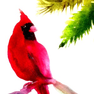 Impressão ou cartões comemorativos de pintura em aquarela de Laura Rispoli Cardeal de inverno em um galho Pássaro vermelho nevado imprime cartões postais ou cartões