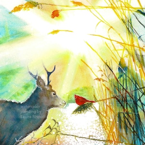 Impression ou cartes ou cartes postales de peinture à l'aquarelle de Laura Rispoli Impressions d'esprits et de lumière Cartes de voeux d'art originales de cerf cardinal