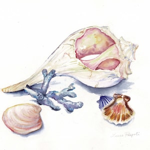Original o Impresión o Tarjetas de pintura Laura Rispoli Verano conchas marinas conchas marinas conchas de coral vieiras pinturas pared arte acuarela