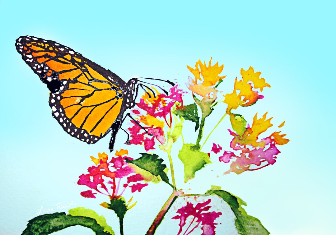 Print or Cards or Postcards of Monarch Butterfly Watercolor Painting by ...