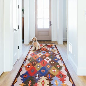 Op de afbeelding: Een kleurrijk loperkleed met geometrische patronen in rood, oranje, blauw en groen in een gang. Een kleine hond zit op het kleed bij een gesloten deur. Het kleed voegt kleur toe aan de gang.