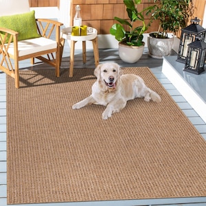 A lifestyle image showing a dog relaxing on a beige indoor outdoor rug. The durable, pet-friendly surface is resistant to stains and easy to clean — ideal for households with furry friends.