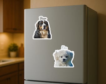 Ímã de geladeira personalizado com foto do seu pet, recorte personalizado de cachorro ou gato com nome, presente de aniversário para dona de pet