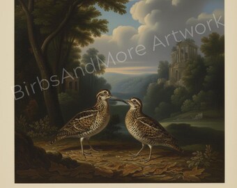 Woodcocks - Baroque Inspired Humorous Bird Art • Whimsical Vintage Animal Print