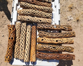 Esqueletos de ramas de cactus Cholla de 30 x 5 cm. Paquete de 30 unidades.