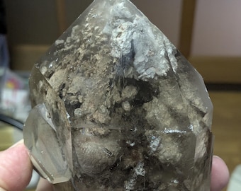 Big Unpolished Multi Hued Garden Inclusions In Quartz Crystal Point - JU 97a