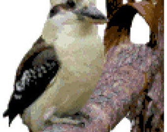 Kookaburra Cross Stitch