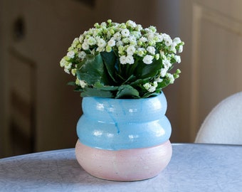 Curvy Planter / Wheel-thrown ceramic planter,