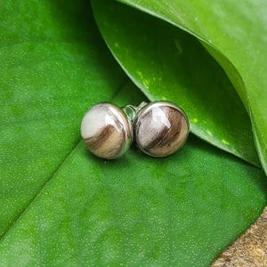 May include: A pair of round stud earrings featuring a polished silver-tone metal setting. Each earring contains a circular inlay of brown and white textured hair, protected by a smooth, clear, slightly domed surface that reflects light.