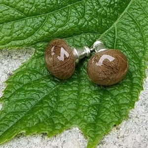 May include: A pair of stud earrings with a natural aesthetic. Each earring has a brown, textured, rounded design with a silver post. The earrings are displayed on a large, green leaf. These earrings are a unique accessory, perfect for everyday wear.