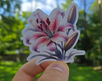 Watercolor Pink Lily Sticker | Botanical Art