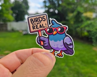 Puede incluir: Una colorida pegatina con un pájaro de dibujos animados con gafas de sol y un cartel que dice "BIRDS ARE NOT REAL!". El pájaro tiene colores azules, morados y naranjas. Fondo verde borroso.