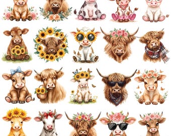 Baby Highland Cow PNG Clipart Bundle, Boho Farmhouse Designs (Digital Download)
