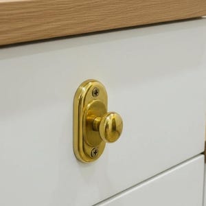 Tirador de latón macizo sin lacar con placa trasera, tirador de cajón antiguo de estilo vintage, herrajes de latón para muebles de estilo victoriano para armarios.