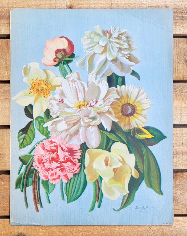 Set Of Two Vintage FLORAL Botanical LITHOGRAPH PRINTS By E Witzleben set-of-two-vintage-floral-botanical-lithograph-prints-by-e-witzleben