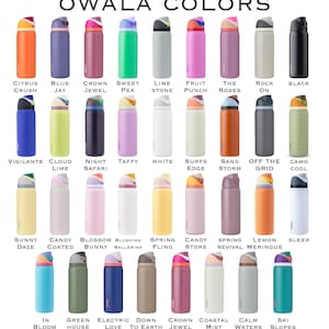 Snorlax Pokémon Owala Bottle – Engraved Character Wrap Design – Stainless Steel Cup 16oz 24oz 32oz 40oz image 2