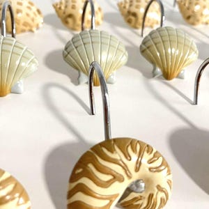 May include: A collection of shower curtain hooks featuring various seashell designs in shades of beige, tan, and cream. Each hook is attached to a curved, polished chrome metal hanger, showcasing detailed textures of nautilus and scallop shells.