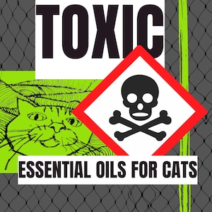 CAT SAFE WITCHCRAFT  Essential Oils Toxic To Cats Reference Guide | Witchy Pet Safety Printable
