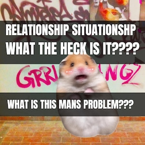 May include: A brown and white hamster with pink blush marks on its cheeks, positioned in front of a wall with graffiti. The text reads: RELATIONSHIP SITUATIONSHP WHAT THE HECK IS IT???? WHAT IS THIS MANS PROBLEM???