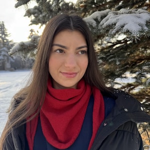 May include: A red triangular scarf is worn over a navy blue top and black jacket. The scarf is made of a knitted material. The background features snow-covered evergreen branches and a snowy landscape.