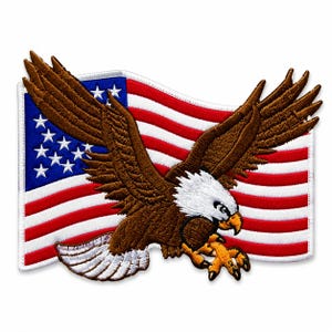 May include: An embroidered patch featuring a bald eagle with brown feathers, a white head, and yellow talons, depicted in flight against a background of the American flag with its red and white horizontal stripes and a blue field with white stars.
