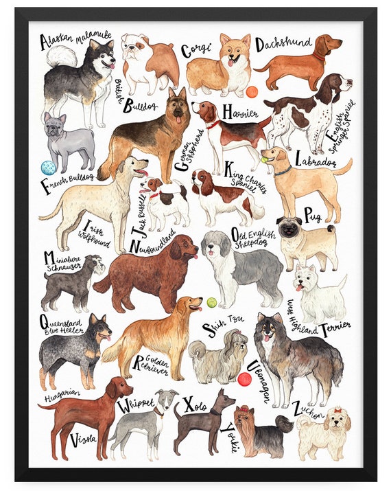 Picture Chart Of Dog Breeds