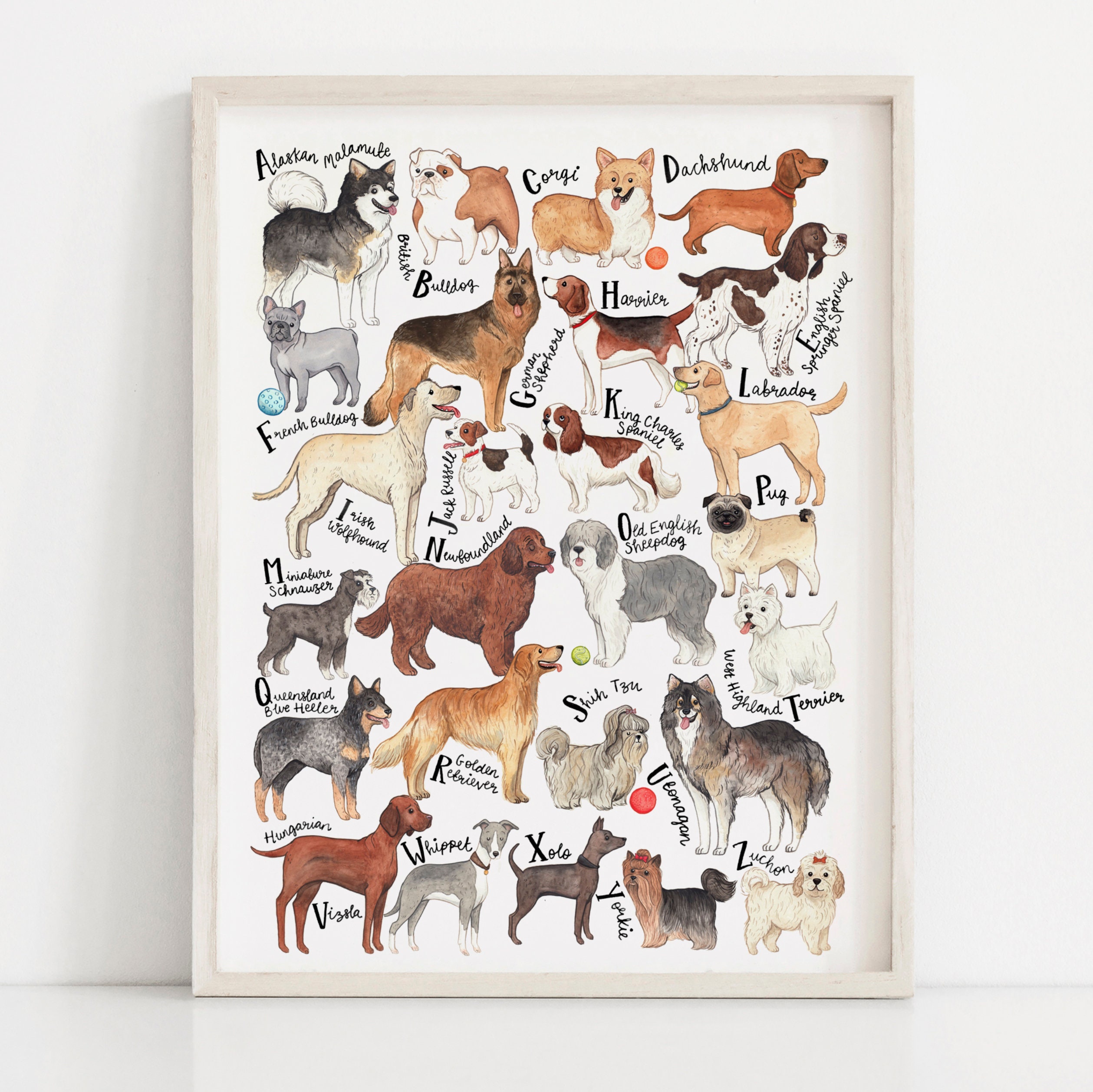 Постер собаки. Плакат породы собак. Постеры с собаками. Пазлы породы собак. Постер на стену собаки.