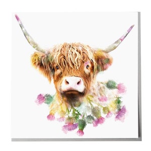 Highland Cow blank art greeting Card
