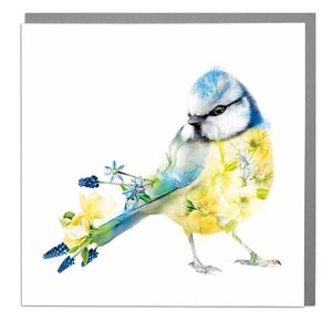 Carte de vœux vierge mésange bleue